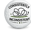 Consistently Inconsistent